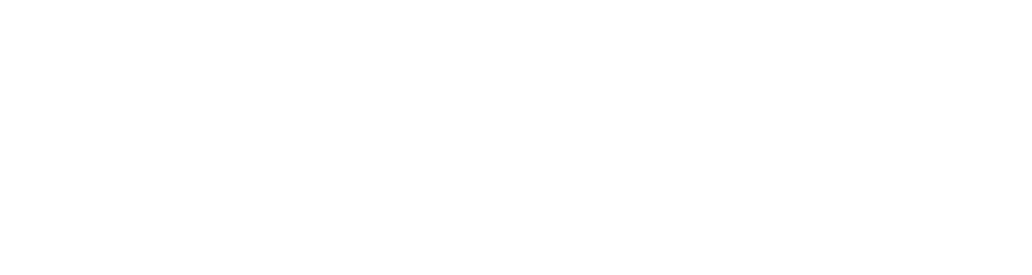 XXIAdults Platform Logo